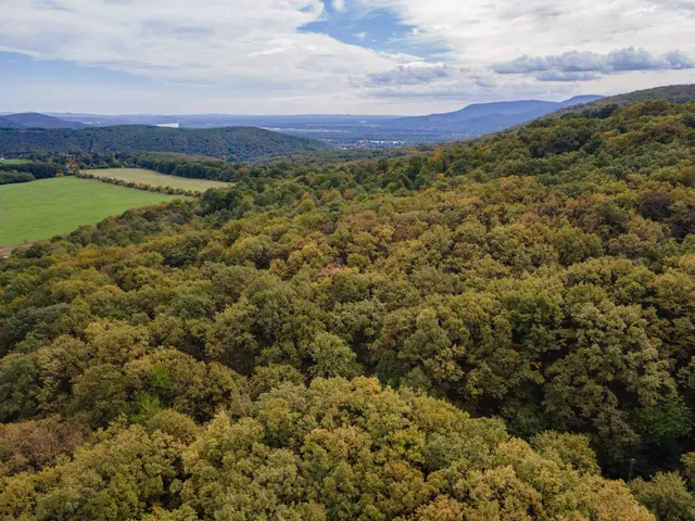 Eladó telek Kismaros, Börzsönyliget 1120 nm