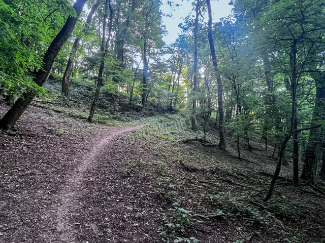 Eladó telek Kismaros, Szegfű utca 1142 nm