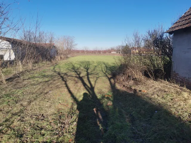 Eladó telek Tiszakécske, Iskola utca 1445 nm