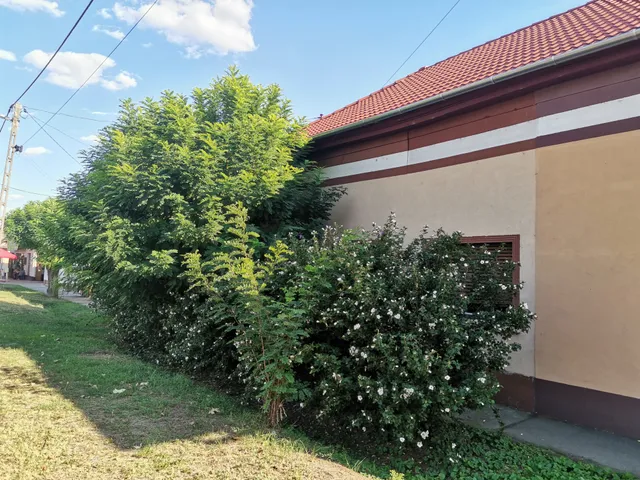 Eladó ház Tiszakécske 60 nm