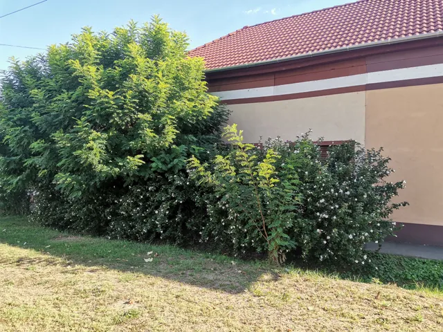 Eladó ház Tiszakécske, Kossuth utca 60 nm