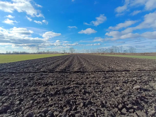 Eladó mezőgazdasági ingatlan Délegyháza 4176 nm