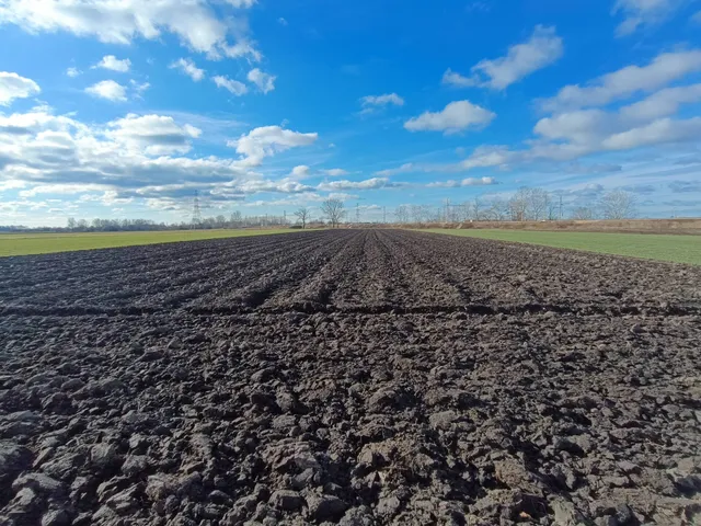 Eladó mezőgazdasági ingatlan Délegyháza 4176 nm