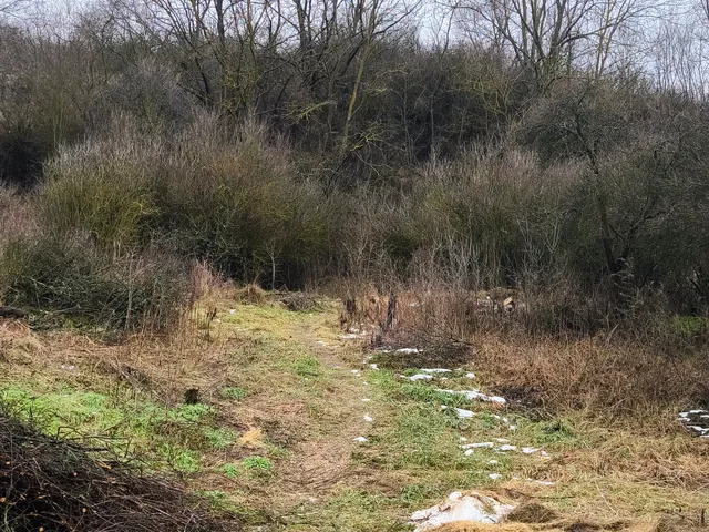 Eladó telek Cserháthaláp, Táncsics út 1750 nm
