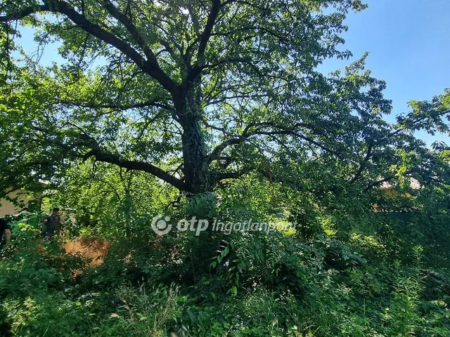 Eladó telek Kulcs 1187 nm