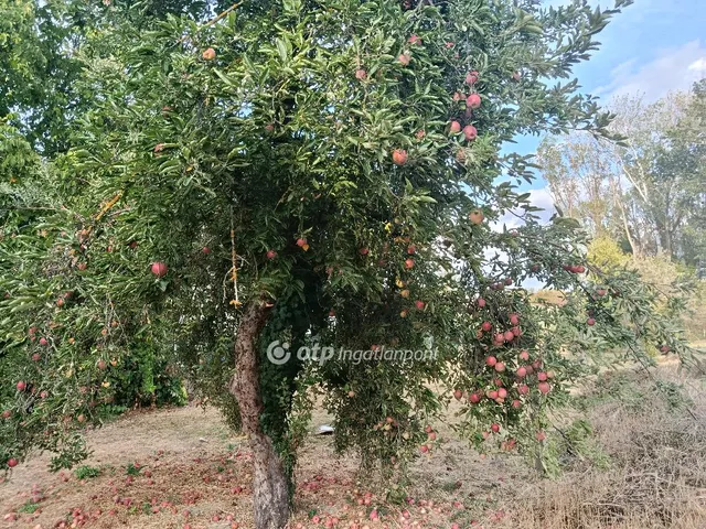 Eladó telek Rácalmás 557 nm