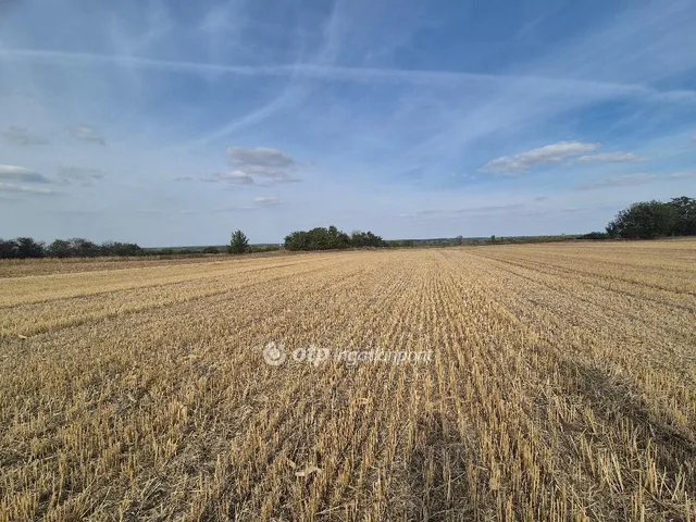 Eladó telek Előszállás 8156 nm