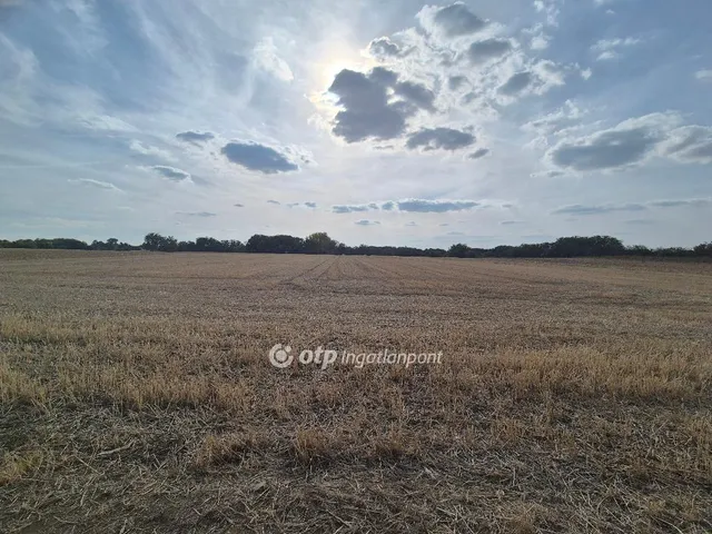 Eladó telek Előszállás 3808 nm