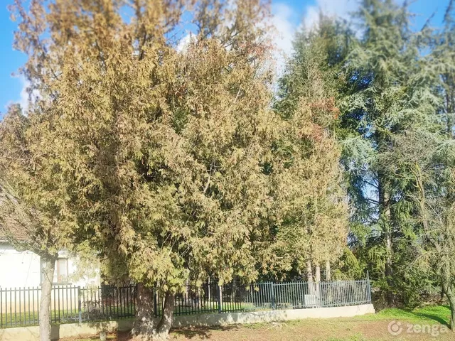 Eladó ház Alsópáhok 127 nm