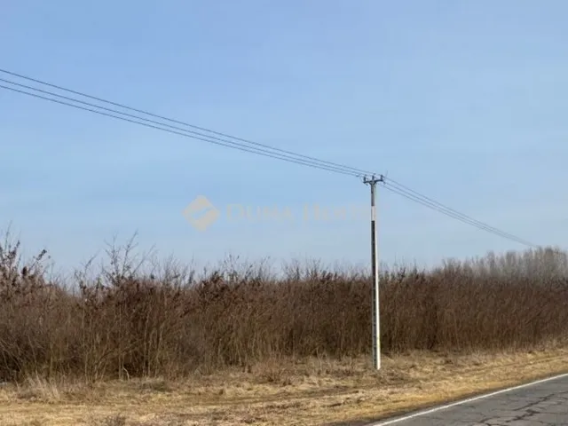 Eladó mezőgazdasági ingatlan Nyírbogdány 309341 nm