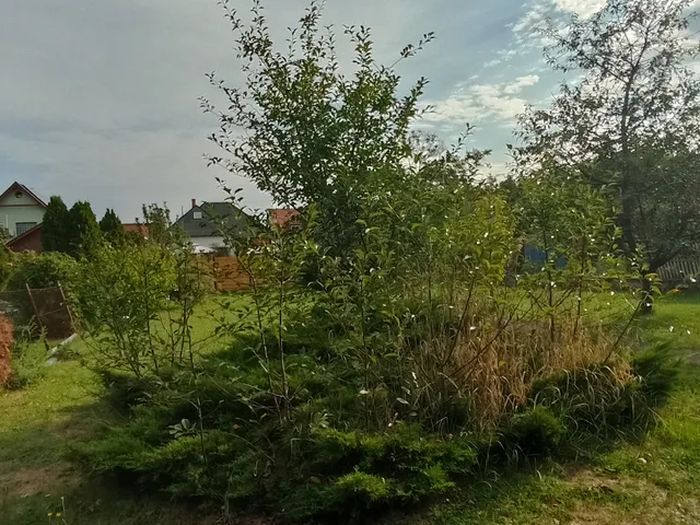 Eladó telek Budapest XVII. kerület, Rákoscsaba 512 nm