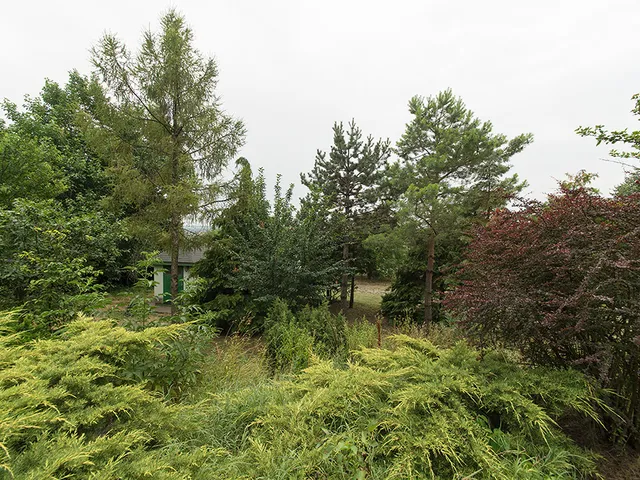 Eladó ház Pécel 300 nm