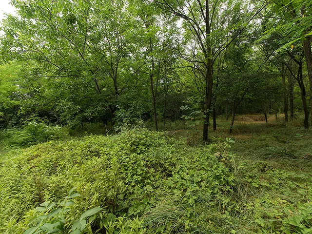 Eladó ház Pécel 300 nm