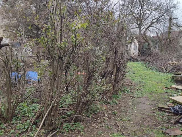 Eladó telek Budapest XVII. kerület 1150 nm