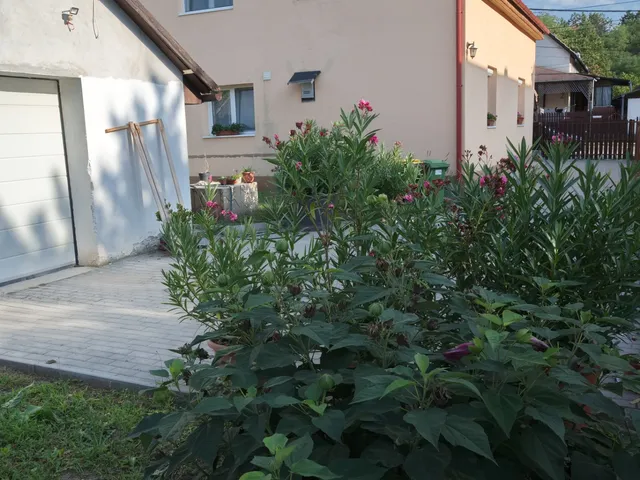 Eladó ház Csömör 167 nm