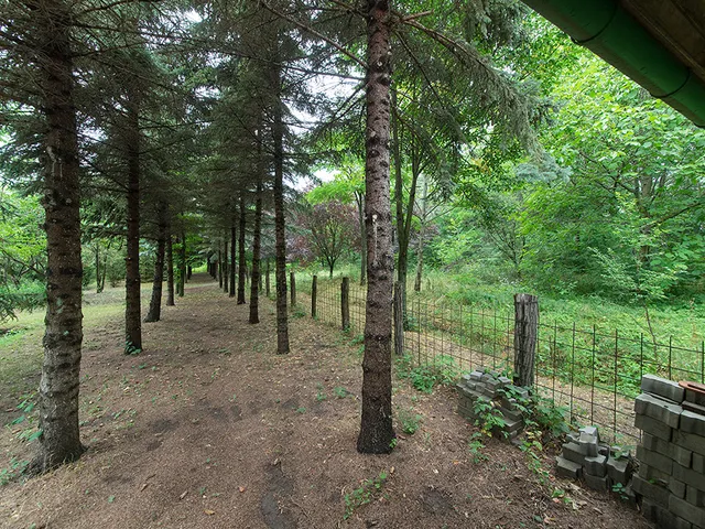 Eladó ház Pécel 300 nm