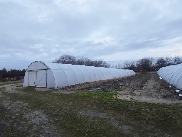 Eladó telek Nyáregyháza 1978 nm