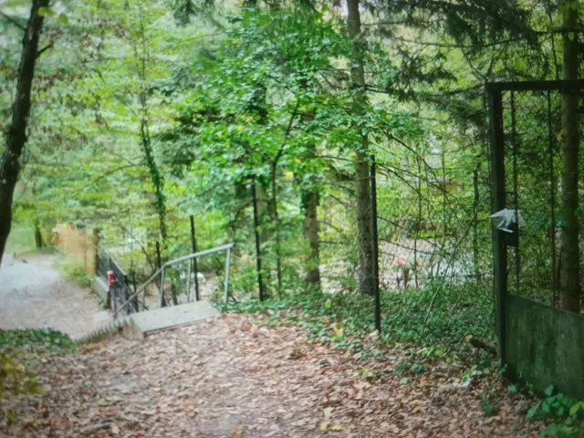 Eladó telek Kismaros 713 nm