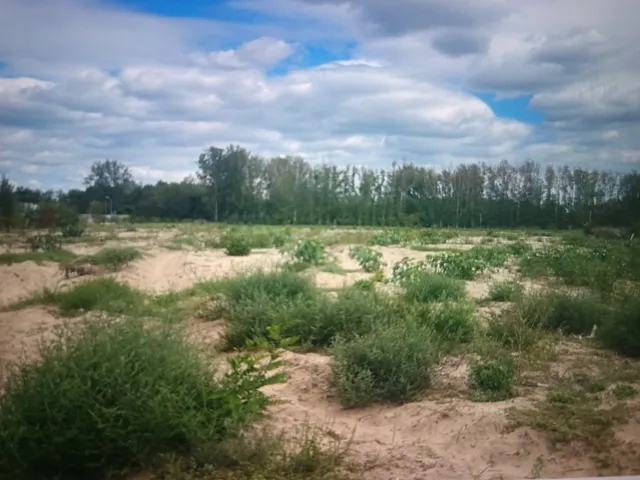 Eladó telek Alsónémedi 30000 nm