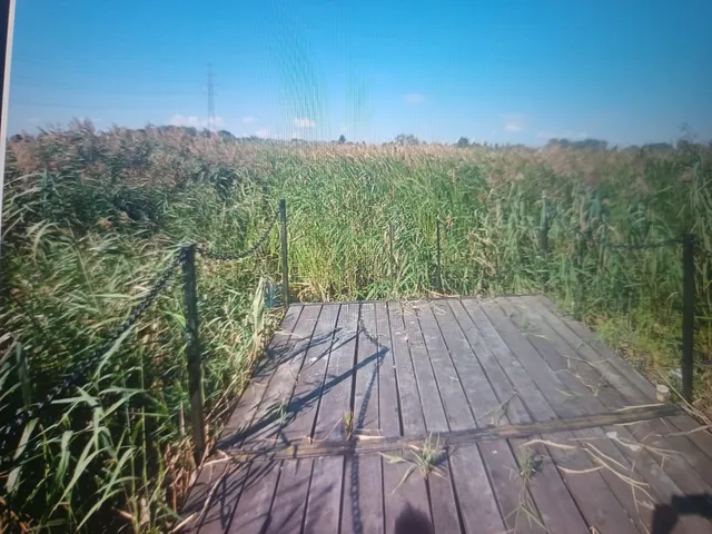 Eladó telek Majosháza 345 nm