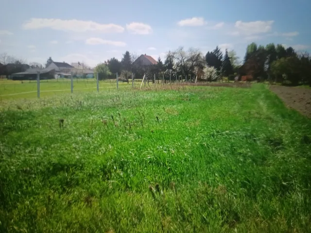 Eladó telek Tököl 774 nm