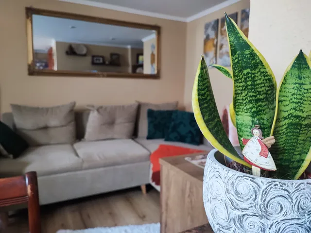 Eladó lakás Budapest IX. kerület, Belső Ferencváros 24 nm