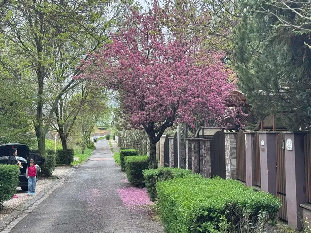 Eladó ház Budapest X. kerület, Kőbánya kertváros 170 nm