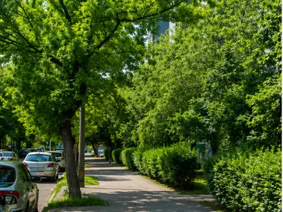 Eladó lakás Budapest XIII. kerület, Angyalföld 54 nm