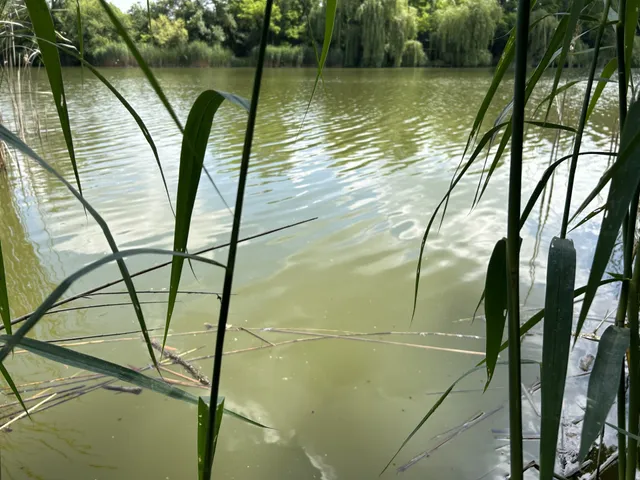 Eladó telek Szigetcsép, Bulgárkertek 417 nm