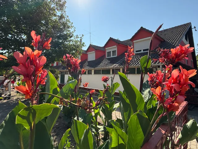 Eladó kereskedelmi és ipari ingatlan Bag 1360 nm