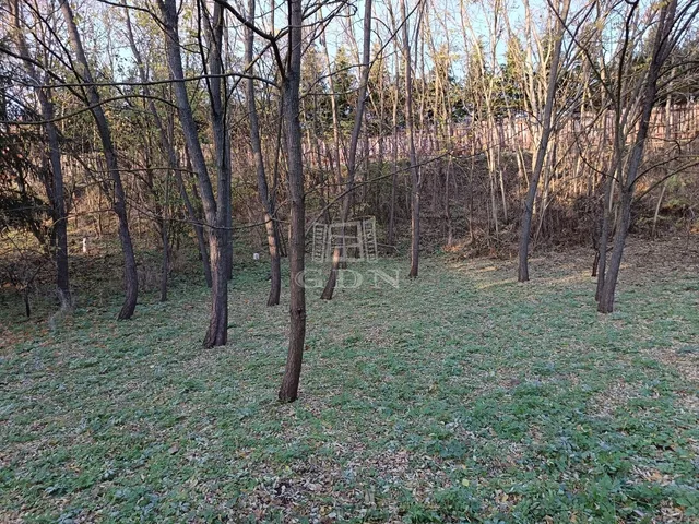 Eladó telek Veresegyház 2311 nm