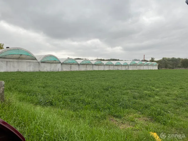 Eladó mezőgazdasági ingatlan Békés, Szécsénykert 5400 nm