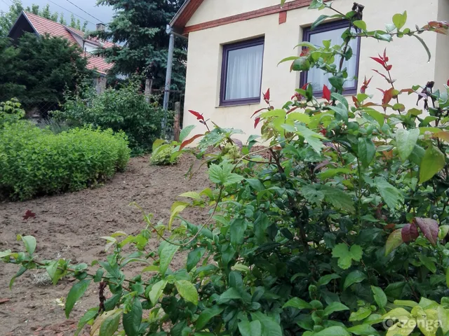 Eladó ház Kurd 50 nm