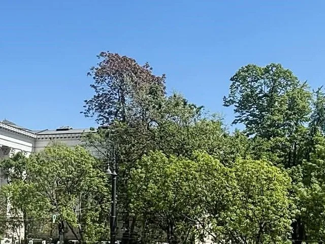 Eladó lakás Budapest V. kerület, Belváros 54 nm