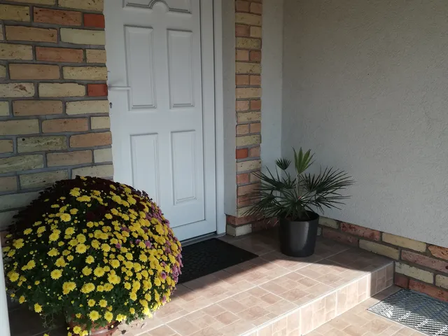 Eladó ház Domaszék 290 nm