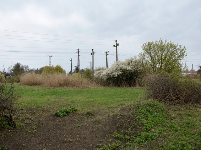 Eladó telek Szeged, Béketelep 3000 nm
