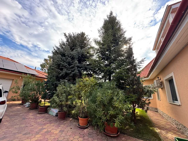 Eladó ház Szeged, Kiskundorozsma 449 nm