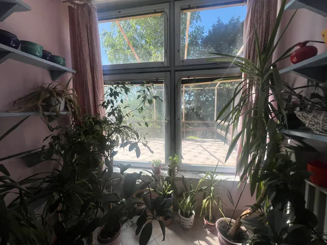 Eladó ház Szeged, Szőreg 200 nm