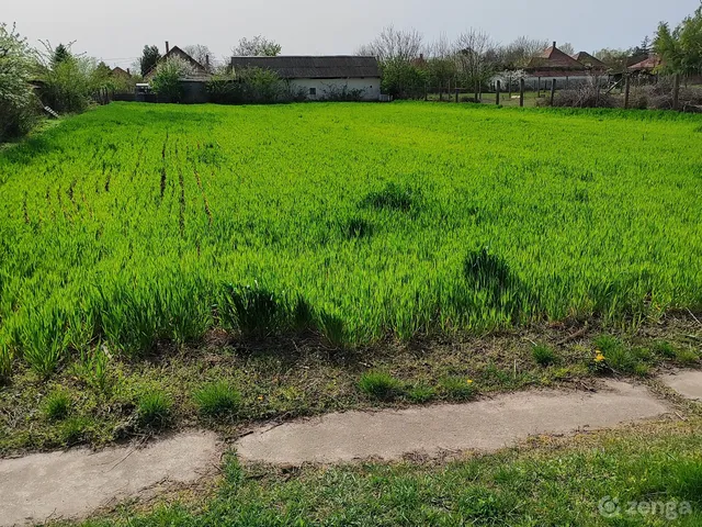 Eladó telek Újsolt 1421 nm