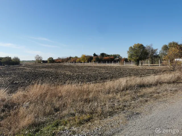 Eladó telek Maroslele, Szegfű utca 84. 1472 nm