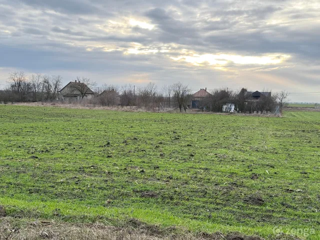 Eladó telek Maroslele 1472 nm