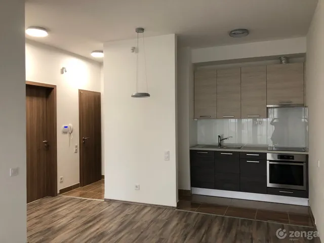 Kiadó lakás Budapest XI. kerület, Sasad-Sashegy XI. ker. 42 nm