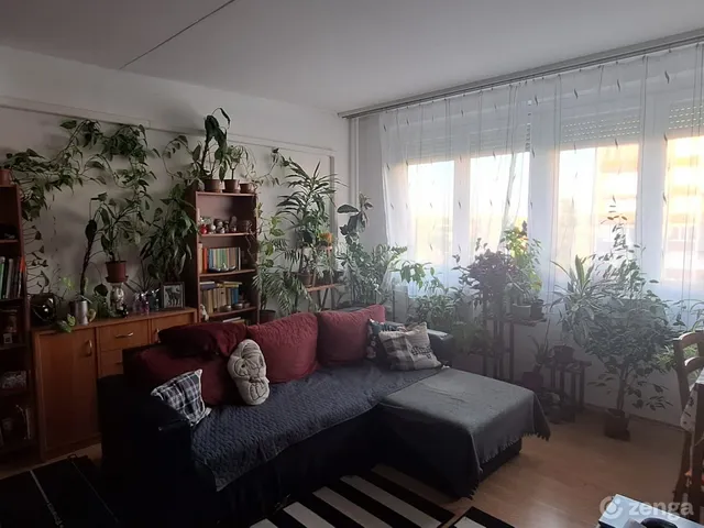 Eladó lakás Budapest XX. kerület, Pesterzsébet 41 nm