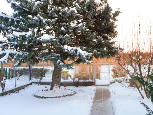 Eladó ház Szigetcsép 83 nm