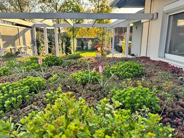 Eladó ház Délegyháza 74 nm