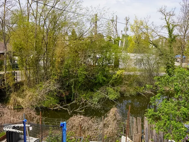 Eladó ház Szigethalom 65 nm