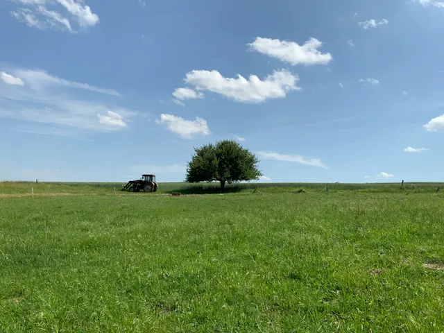 Eladó telek Szokolya 5573 nm