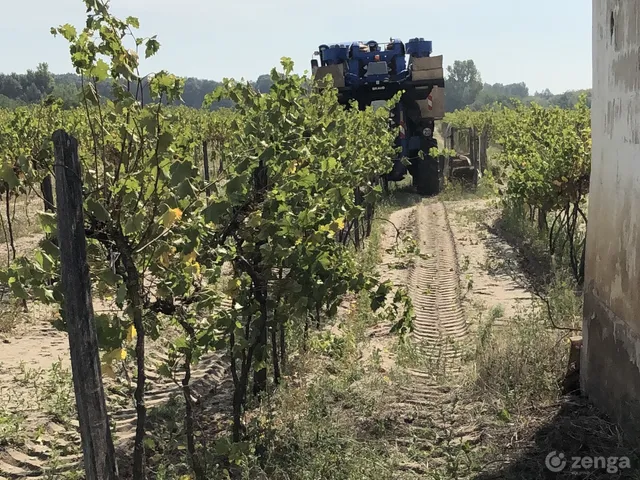 Eladó mezőgazdasági ingatlan Kiskőrös 13000 nm