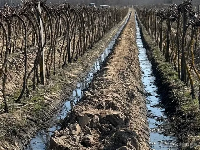 Eladó mezőgazdasági ingatlan Kiskőrös 13000 nm