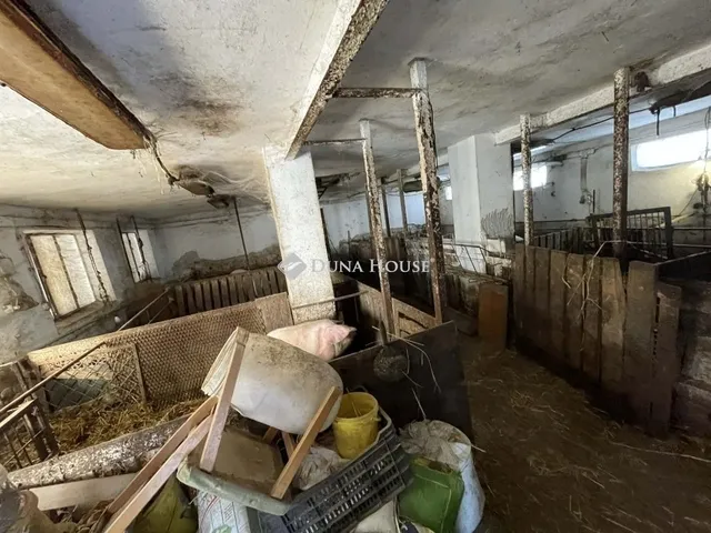 Eladó ház Szeged 226 nm